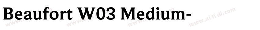 Beaufort W03 Medium字体转换